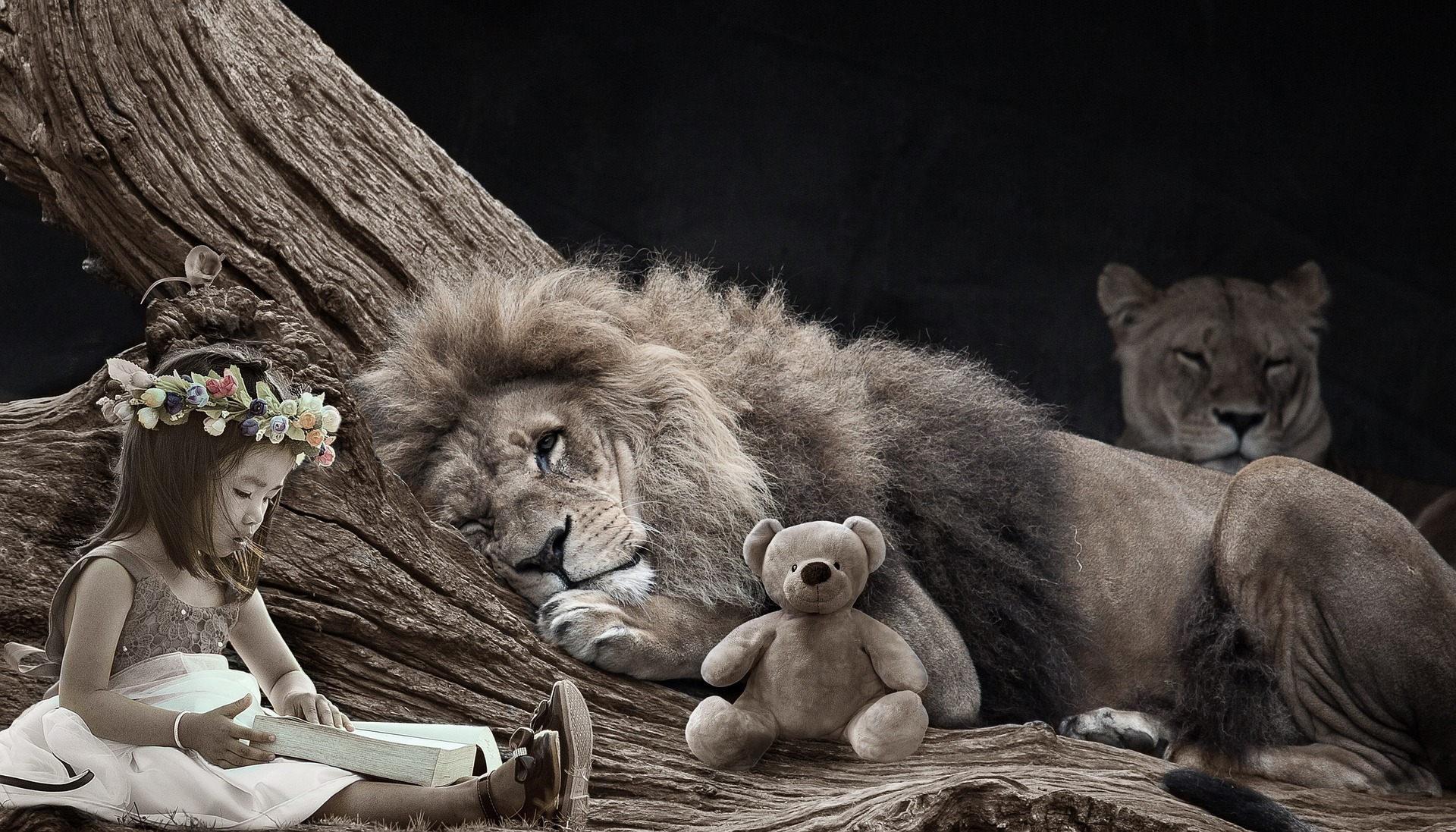 fantasy child reads to a lion