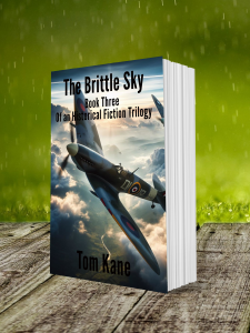 The Brittle Sky paperback
